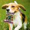 Show in main carousel: Pets First Peanut Bag Squeaky Dog Chew Toy, Michigan State slide 3 of 6
