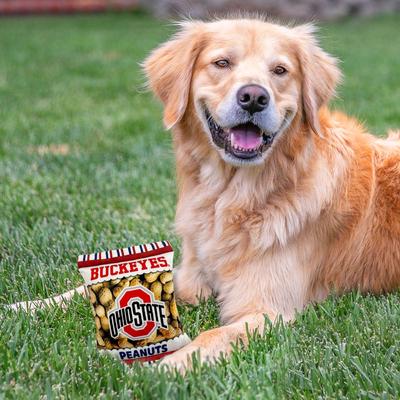 Show full view: Pets First Peanut Bag Squeaky Dog Chew Toy, Ohio State slide 4 of 6