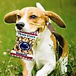 Show in main carousel: Pets First Peanut Bag Squeaky Dog Chew Toy, Penn State slide 3 of 6