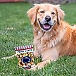Show in main carousel: Pets First Peanut Bag Squeaky Dog Chew Toy, Penn State slide 4 of 6