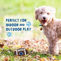 Pets First Penn State Hard Nylon Football Dog Chew Toy, Brown slide 2 of 5