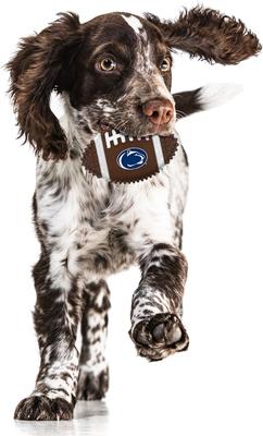 Show full view: Pets First Penn State Hard Nylon Football Dog Chew Toy, Brown slide 3 of 5