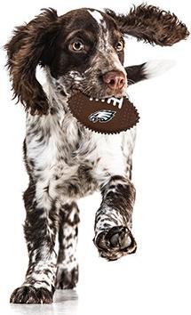 Show full view: Pets First Philadelphia Eagles Hard Nylon Football Dog Chew Toy, Brown slide 3 of 5
