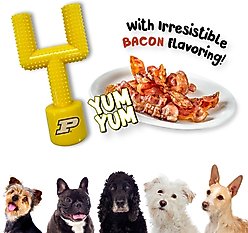 Pets First Purdue Hard Nylon Goal Post Dog Chew Toy, Yellow slide 2 of 5