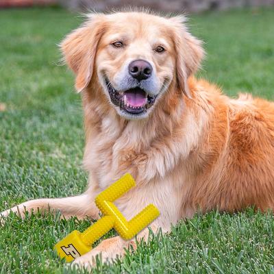 Show full view: Pets First Purdue Hard Nylon Goal Post Dog Chew Toy, Yellow slide 3 of 6
