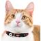 Show in main carousel: Pets First Satin Breakaway Cat Collar, 8 to 12-in neck, 1/2-in wide, Alabama slide 4 of 6