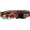 Show in main carousel: Pets First Satin Breakaway Cat Collar, 8 to 12-in neck, 1/2-in wide, Auburn slide 1 of 6