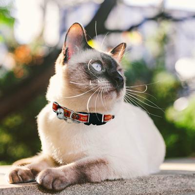 Show full view: Pets First Satin Breakaway Cat Collar, 8 to 12-in neck, 1/2-in wide, Auburn slide 5 of 6