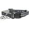 Show in main carousel: Pets First Satin Breakaway Cat Collar, 8 to 12-in neck, 1/2-in wide, Las Vegas Raiders slide 1 of 7