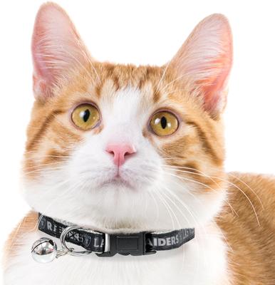 Show full view: Pets First Satin Breakaway Cat Collar, 8 to 12-in neck, 1/2-in wide, Las Vegas Raiders slide 5 of 7