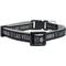 Show in main carousel: Pets First Satin Breakaway Cat Collar, 8 to 12-in neck, 1/2-in wide, Las Vegas Raiders slide 3 of 7