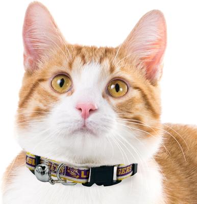 Show full view: Pets First Satin Breakaway Cat Collar, 8 to 12-in neck, 1/2-in wide, Lsu slide 5 of 7