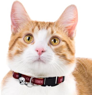 Show full view: Pets First Satin Breakaway Cat Collar, 8 to 12-in neck, 1/2-in wide, Oklahoma slide 5 of 7