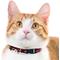 Show in main carousel: Pets First Satin Breakaway Cat Collar, 8 to 12-in neck, 1/2-in wide, San Francisco 49Ers slide 4 of 6