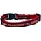 Show in main carousel: Pets First Satin Breakaway Cat Collar, 8 to 12-in neck, 1/2-in wide, San Francisco 49Ers slide 2 of 6