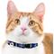 Show in main carousel: Pets First Satin Breakaway Cat Collar, 8 to 12-in neck, 1/2-in wide, Tampa Bay Lightning slide 4 of 6