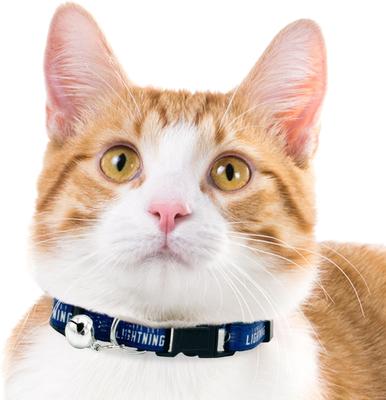 Show full view: Pets First Satin Breakaway Cat Collar, 8 to 12-in neck, 1/2-in wide, Tampa Bay Lightning slide 4 of 6