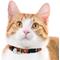 Show in main carousel: Pets First Satin Breakaway Cat Collar, 8 to 12-in neck, 1/2-in wide, Texas slide 4 of 6