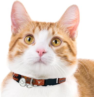 Show full view: Pets First Satin Breakaway Cat Collar, 8 to 12-in neck, 1/2-in wide, Texas slide 4 of 6
