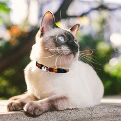 Pets First Satin Breakaway Cat Collar, 8 to 12-in neck, 1/2-in wide, Washington Commanders slide 2 of 5