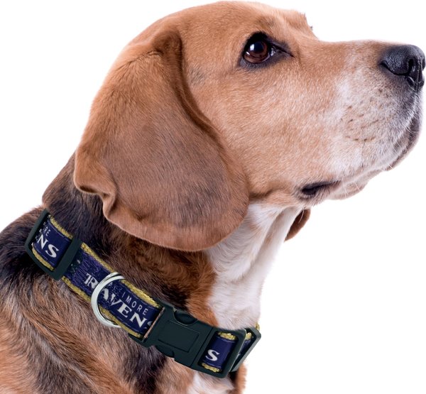 Show full view: Pets First Satin Dog Collar, Baltimore Ravens, Large slide 4 of 6