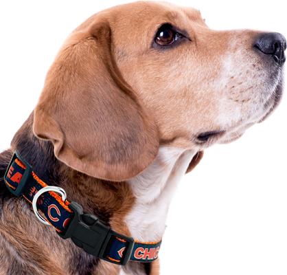 Show full view: Pets First Satin Dog Collar, Chicago Bears, Medium slide 4 of 6