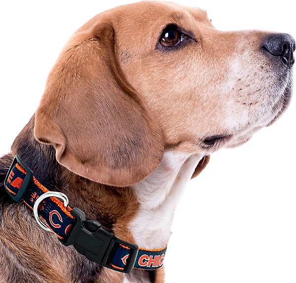 Show full view: Pets First Satin Dog Collar, Chicago Bears, Small slide 4 of 6