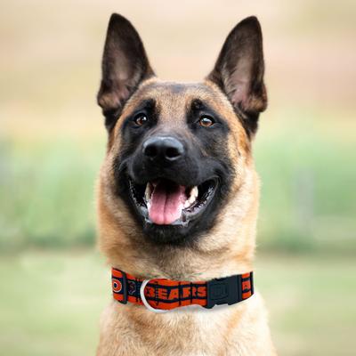 Show full view: Pets First Satin Dog Collar, Chicago Bears, X-Large slide 4 of 6