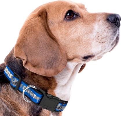 Show full view: Pets First Satin Dog Collar, Detroit Lions, Medium slide 4 of 6