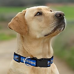 Pets First Satin Dog Collar, Detroit Lions, Small slide 2 of 5