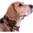 Show in main carousel: Pets First Satin Dog Collar, Kansas City Chiefs, Large slide 4 of 6