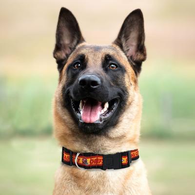 Show full view: Pets First Satin Dog Collar, Kansas City Chiefs, X-Large slide 4 of 6