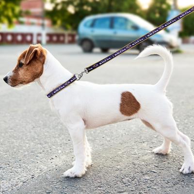 Show full view: Pets First Satin Dog Leash, Baltimore Ravens, Large slide 4 of 5