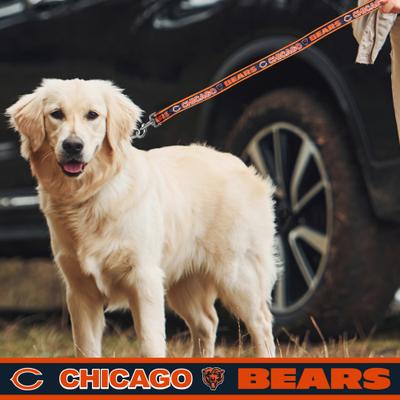 Show full view: Pets First Satin Dog Leash, Chicago Bears, Large slide 4 of 5