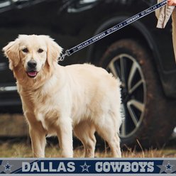 Pets First Satin Dog Leash, Dallas Cowboys, Large slide 2 of 4