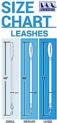 Pets First Satin Dog Leash, Detroit Lions, Medium slide 2 of 4