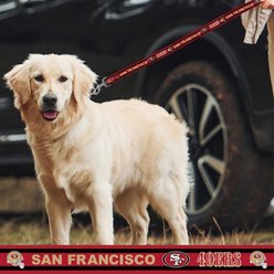 Pets First Satin Dog Leash, San Francisco 49ers, Medium slide 2 of 4