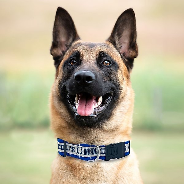 Show full view: Pets First Satin Nylon Dog Collar, Indianapolis Colts, X-Large slide 4 of 6