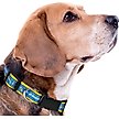 Show in main carousel: Pets First Satin Nylon Dog Collar, Los Angeles Chargers, Small slide 4 of 6