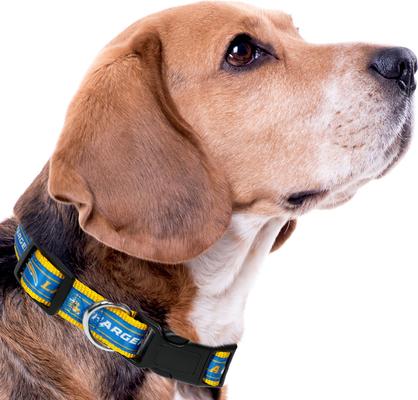 Show full view: Pets First Satin Nylon Dog Collar, Los Angeles Chargers, Small slide 4 of 6