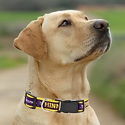 Pets First Satin Nylon Dog Collar, Minnesota Vikings, Large slide 2 of 5