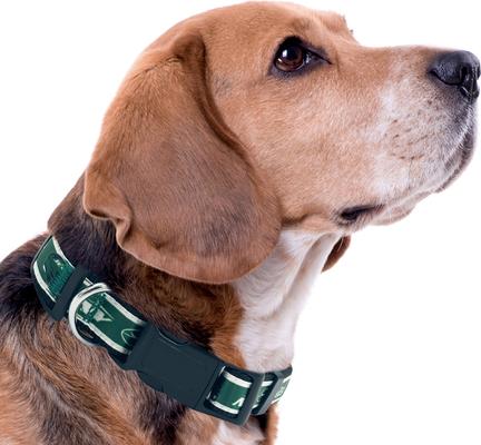 Show full view: Pets First Satin Nylon Dog Collar, New York Jets, Medium slide 4 of 6