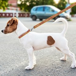 Pets First Satin Nylon Dog Leash, Arizona State, Small slide 2 of 5