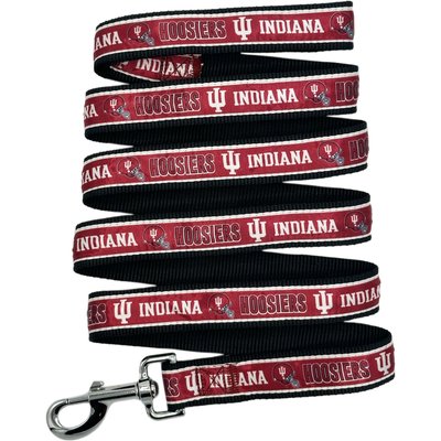 Pets First Pets First Satin Nylon Dog Leash, Indiana, Medium: 48-in long, 5/8-in wide