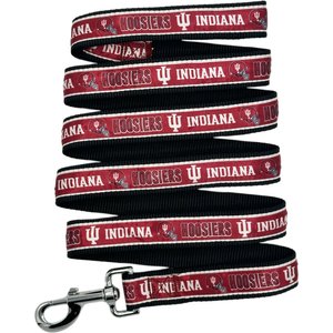 Pets First Satin Nylon Dog Leash, Indiana, Small: 48-in long, 3/8 -in wide