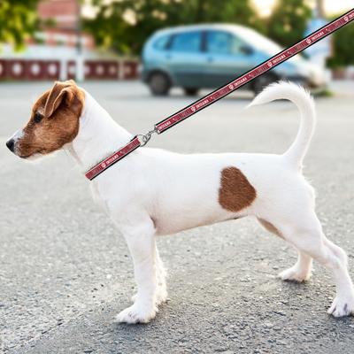 Show full view: Pets First Satin Nylon Dog Leash, Indiana, Small: 48-in long, 3/8 -in wide slide 3 of 5