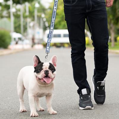 Show full view: Pets First Satin Nylon Dog Leash, Indianapolis Colts, Large: 72-in long, 1-in wide slide 4 of 5