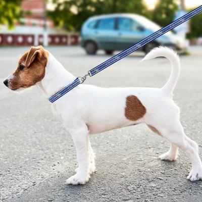 Show full view: Pets First Satin Nylon Dog Leash, Kentucky, Medium: 48-in long, 5/8-in wide slide 3 of 5