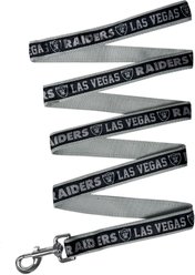Pets First Satin Nylon Dog Leash, Las Vegas Raiders, Medium: 48-in long, 5/8-in wide