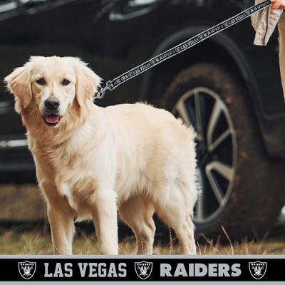 Show full view: Pets First Satin Nylon Dog Leash, Las Vegas Raiders, Medium: 48-in long, 5/8-in wide slide 3 of 5